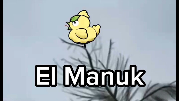 Fanart Si Burung Browt :v 🐦🐦