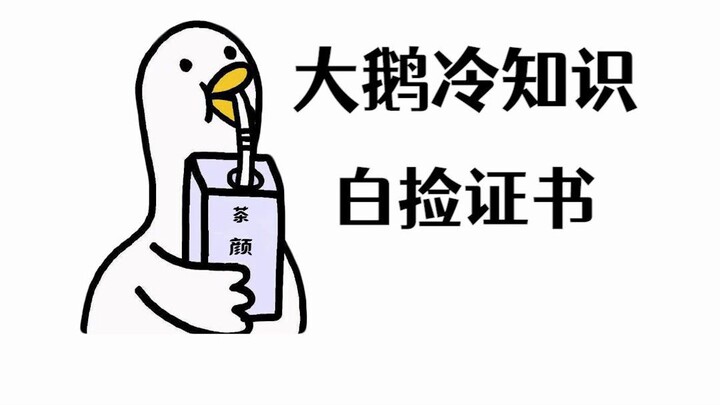 Chứng chỉ nằm một chỗ cũng có thể nhận, nhất định đừng bỏ lỡ!