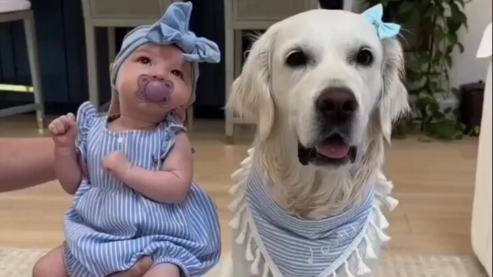 How My Dog and My Baby Have So Much in Common