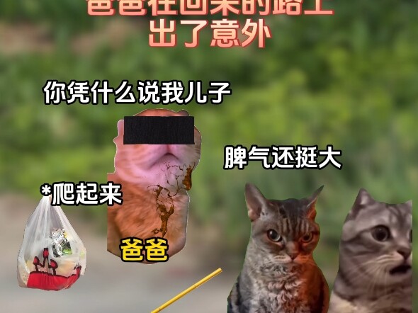 爸，我一定会努力，成为您折不断的腰板