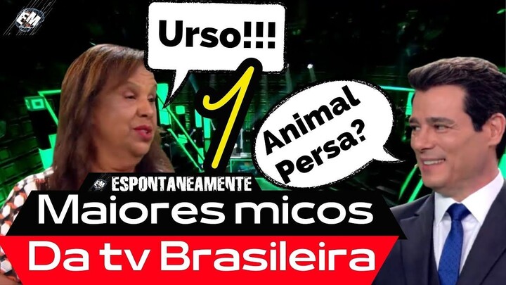 OS MAIORES MICOS E BURRICES DA TV PARTE 01