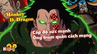 Monkey D Dragon: Cấp độ sức mạnh và vai trò của quân cách mạng!