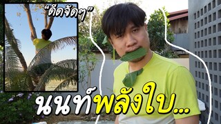 นนท์พลังใบ...ลองทำน้ำท่อมครั้งแรกในชีวิต!