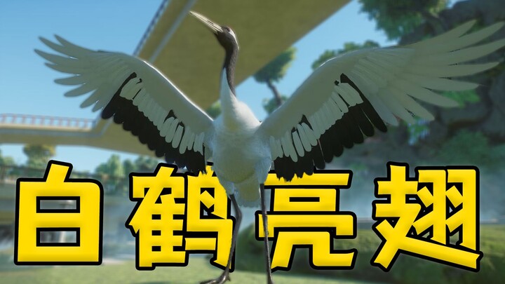 I Bought 10 Red-Crowned Cranes—Let’s Show Visitors What a Fairyland Feels Like | Planet Zoo #5