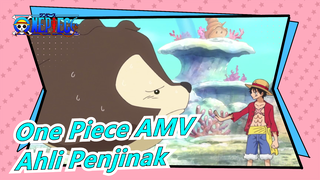 [One Piece AMV] Ahli Penjinak!