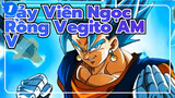 Bảy Viên Ngọc Rồng
Vegito AMV_1