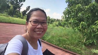 JURONG LAKE GARDEN ADVENTURE PART 2