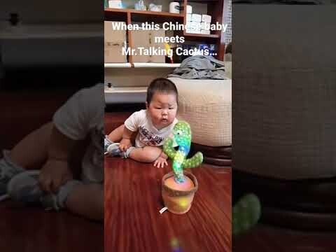 Funny video: when a Chinese baby meets the talking cactus…