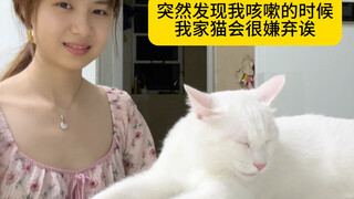 Ketika saya batuk, kucing di rumah saya: