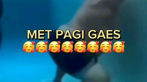 MET Pagih