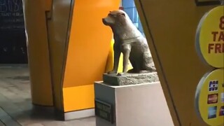 歪狗