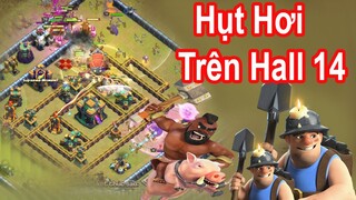 Sự Hụt Hơi Đến Từ Super Queen Miner Hog | NMT Gaming