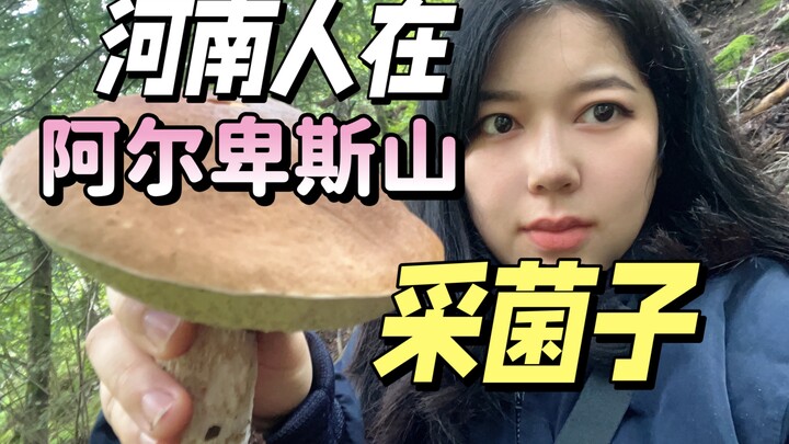 I’ve got a home in the Alpine countryside—I went mushroom picking for porcini today and even spotted