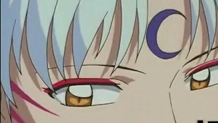 Sesshomaru sama's double standard daily life