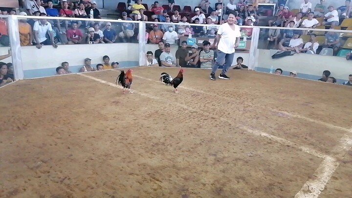 S#sanjosecockpitarina