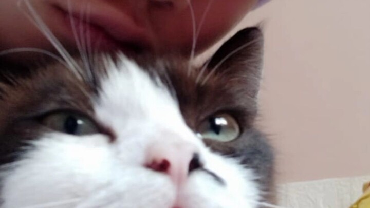 teman saya paling bagus