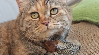 My little sparrow and I can't be separated for a moment