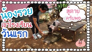 🐷น้องรวยเริ่มเข้าโรงเรียนแล้วนะครับทุกคน