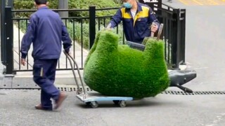 Looks like another community's "sheep" have been taken away again—Chongqing residents replaced the g