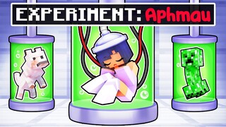 Who EXPERIMENTED on APHMAU in Minecraft!?