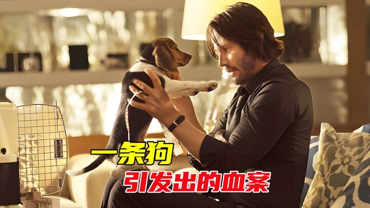 A Dog-Triggered Bloodbath...