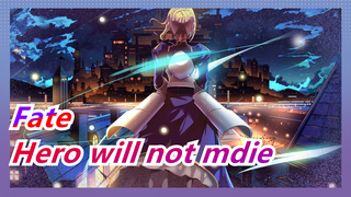 Fate|If I would die at this level, I wouldn't be a hero.