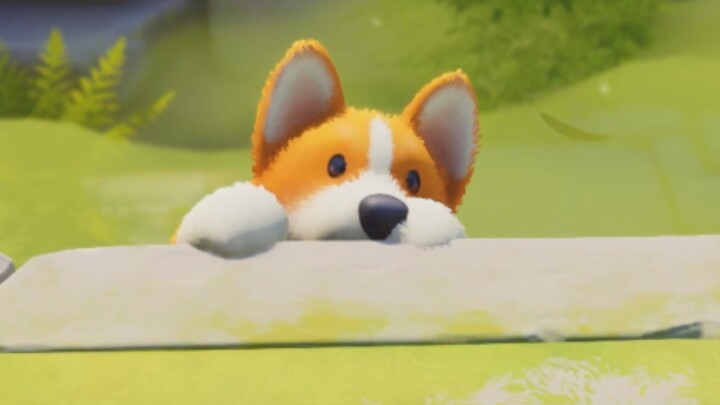 This sly guy is really good at hiding.