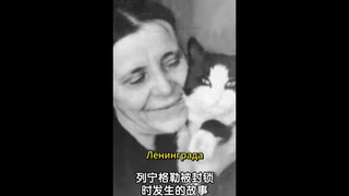 外婆告诉我,在封锁和饥荒中,外婆，我的母亲和我幸免于难,要归功于我们的小猫瓦西卡
