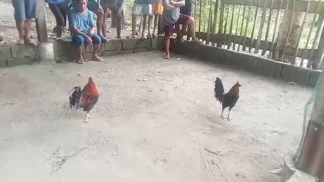 win