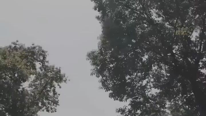 &{เต็มเรื่อง}ช่างซ่อมท่อที่ถูกดูถูก แท้จริงคือจอมเทพ #พากย์ไทย