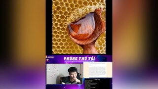 hảo trả thù😂😂fyp hảocomment hàihước tiktok xuhướng