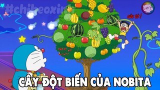 Review Doraemon - Cây Đột Biến Của Nobita | #CHIHEOXINH | #1257