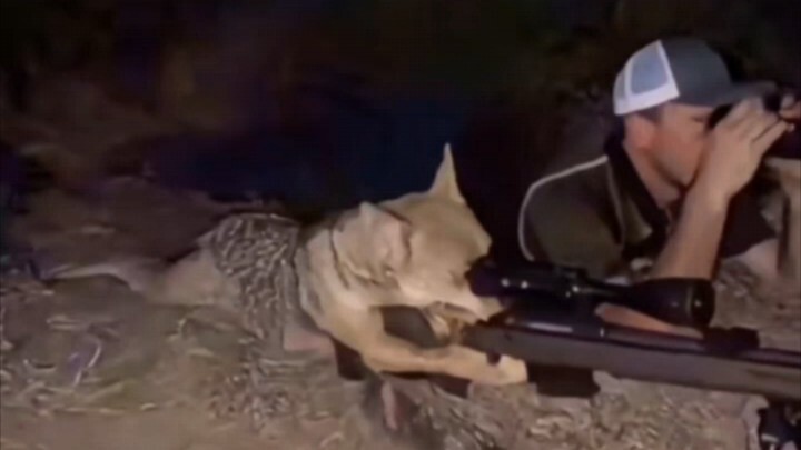 “คุณเชื่อใจบรูซได้เสมอ!”