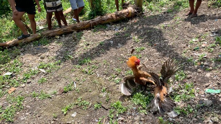 8mos ko na asil cross naka chamba..win