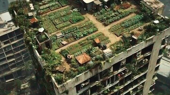 Cung cấp cho bạn một mục tiêu nhỏ để bạn có thể vượt qua một trong các cảnh để sống sót (Bối cảnh Th