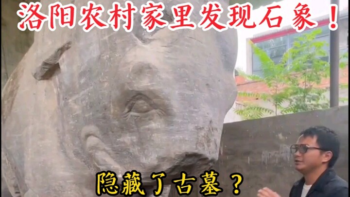 Seekor gajah ditemukan di halaman rumah desa Luoyang, Henan! Ternyata di baliknya tersembunyi sebuah