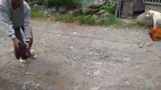 Pagalingan sila😁