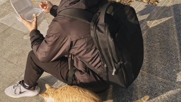 Ini mungkin puncak hidupku... Dipercaya oleh kucing-kucing dan sebagainya. Kalau kamu suka video ini