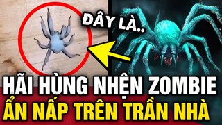 Gặp CON NHỆN LẠ trong nhà, chàng trai hoảng hồn phát hiện đó là NHỆN ZOMBIE | Tin 3 Phút