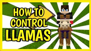 HOW TO CONTROL LLAMAS IN MINECRAFT P.E - BEDROCK - 1.16.10