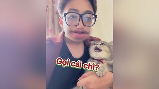 AI YÊU HƠN ?!? tiktokvietnam idolface caoratngoan thucung foryoupage trending kyuctrongtoi