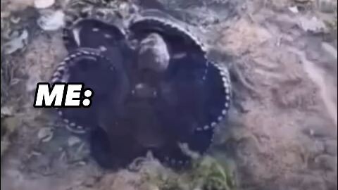 💀