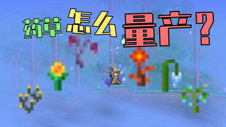[Terraria] Gathering herbs and mass‑planting them to become a Terrarian who can drink potions till y
