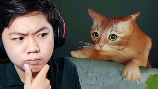 "Chú Mèo Hoang Phiêu Lưu Ký"!?! Stray - Tập 1