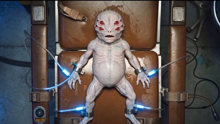Experiment 262 (Species Breed)