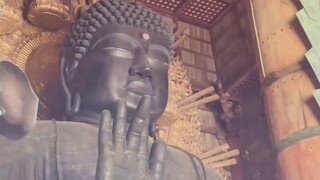 Osaka Meow is surrounded by Kanonoko! ! [Tianzhan milo_O vlog]