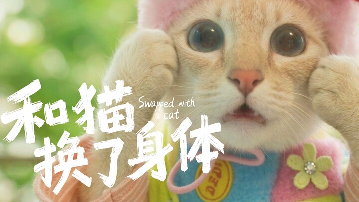 Một sáng thức dậy, tôi biến thành mèo rồi! Phải làm sao bây giờ… [Cuộc thi Sáng tạo AI Bilibili - Đư