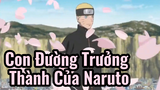 Con Đường Trưởng Thành Của Naruto