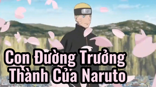 Con Đường Trưởng Thành Của Naruto