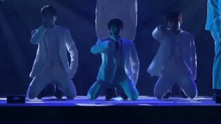 【Wanna one】Flower Bomb-烟花演唱会舞蹈版本（中字